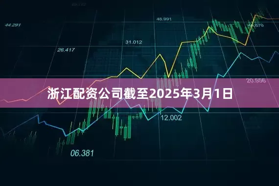 浙江配资公司截至2025年3月1日